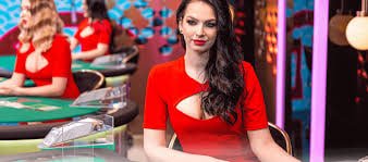 Metode pembayaran Qiu Qiu di ligapoker mencakup DANA, OVO, GoPay, ShopeePay, LinkAja, QRIS, dan virtual account bank